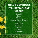 GreenView Enhanced Efficiency Fertilizer and Weed Control
