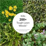 GreenView Fairway Formula Spring Fertilizer & Weed Preventer