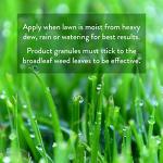 GreenView Enhanced Efficiency Fertilizer and Weed Control