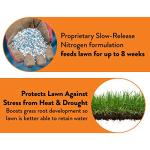 GreenView Enhanced Efficiency Fertilizer and Weed Control