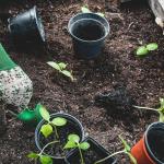 Xuper Grip Women's Gardening Gloves - 4 Pairs