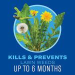 BioAdvanced 5-in-1 Weed and Feed Granules 9.6LB