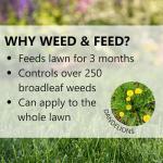 Jonathan Green Veri-Green Weed and Feed Fertilizer