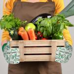 Floral Gardening Gloves for Women - 3 Pairs