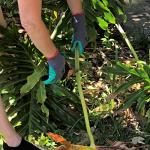 Super Grippy Garden Gloves for Men and Women