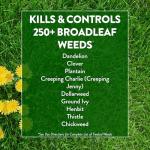 GreenView Weed & Feed 7 lb. Bag for Lawns