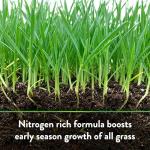 Organic Bio-Turf Lawn Fertilizer Mix 4 lb