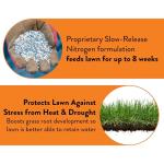 GreenView Weed & Feed 7 lb. Bag for Lawns