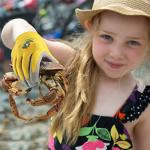 Kids Gardening Gloves with Arm Sleeves - Age 2-12