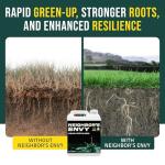 PetraMax 7-in-1 Grass Fertilizer Concentrate, 1 Gallon