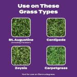 Scotts Turf Builder Southern Weed & Feed 5,000 sq ft