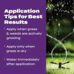 Scotts Turf Builder Southern Weed & Feed 5,000 sq ft