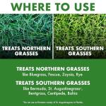 Spectracide Weed Stop Concentrate for Lawns, 1 Gallon