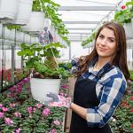 Women's Thorn-Proof Leather Gardening Gloves - Pink