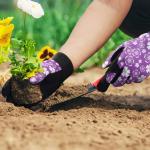 Touchscreen Gardening Gloves for All Seasons