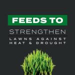 Scotts Turf Builder Southern Triple Action 13.32 lbs