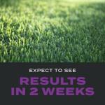 Scotts Turf Builder Southern Triple Action 13.32 lbs