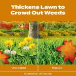 Scotts Turf Builder WinterGuard Fall Weed & Feed