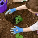 Kids Thorn-Resistant Gardening Gloves - 3 Pairs