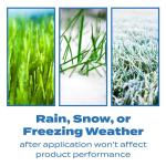 Scotts Crabgrass & Grassy Weed Preventer, 10,000 sq. ft