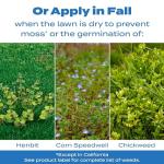 Scotts Crabgrass & Grassy Weed Preventer, 10,000 sq. ft