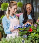 Skin-Friendly Gardening Gloves for Women - 6 Pairs