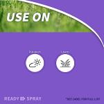 Bonide Weed & Feed 20-0-0, 32 oz Spray