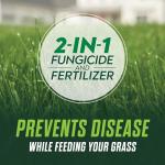 Scotts Turf Builder Lawn Food and Fungicide