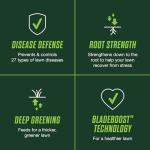 Scotts Turf Builder Lawn Food and Fungicide