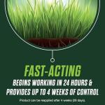 Scotts Turf Builder Lawn Food and Fungicide