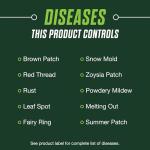 Scotts Turf Builder Lawn Food and Fungicide