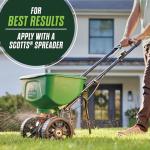 Scotts Turf Builder Lawn Food and Fungicide