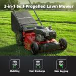 PowerSmart 21-Inch Self-Propelled Gas Lawn Mower