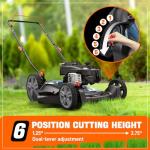 SENIX 21-Inch Gas Push Lawn Mower with Briggs & Stratton
