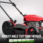 PowerSmart 21" Gas Push Lawn Mower with Mulching