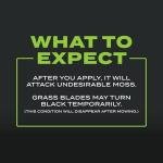 Scotts Turf Builder Triple Action Lawn Fertilizer 40 lbs