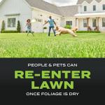 Scotts Turf Builder Triple Action Lawn Fertilizer 40 lbs