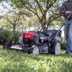 Black Max 21-Inch Gas Walk-Behind Lawn Mower