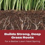 Scotts Turf Builder WinterGuard Fall Lawn Fertilizer