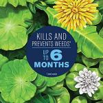 BioAdvanced Southern Lawn Weed Killer & Preventer