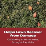 Scotts Turf Builder WinterGuard Fall Lawn Fertilizer
