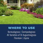 BioAdvanced Southern Lawn Weed Killer & Preventer