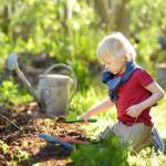 18 Colorful Mini Hand Trowels for Gardening