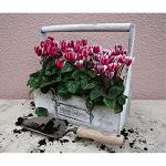 DeWit Sturdy Hand Trowel for Garden Tasks