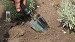 Edward Tools Bend-Proof Stainless Steel Garden Trowel