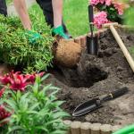 Heavy Duty Carbon Steel Garden Trowel with Handle