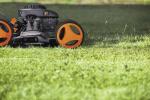 21" Gas Push Lawn Mower with Adjustable Heights