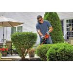 Black & Decker 17-Inch Corded Electric Hedge Trimmer