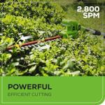 Greenworks 22-Inch Cordless Hedge Trimmer with Battery