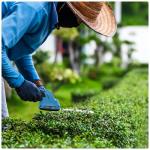 Lightweight 2-in-1 Cordless Hedge Trimmer and Shear